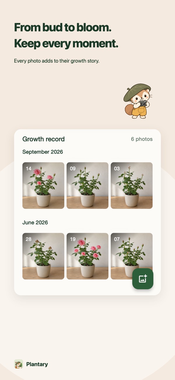 Growth record timeline