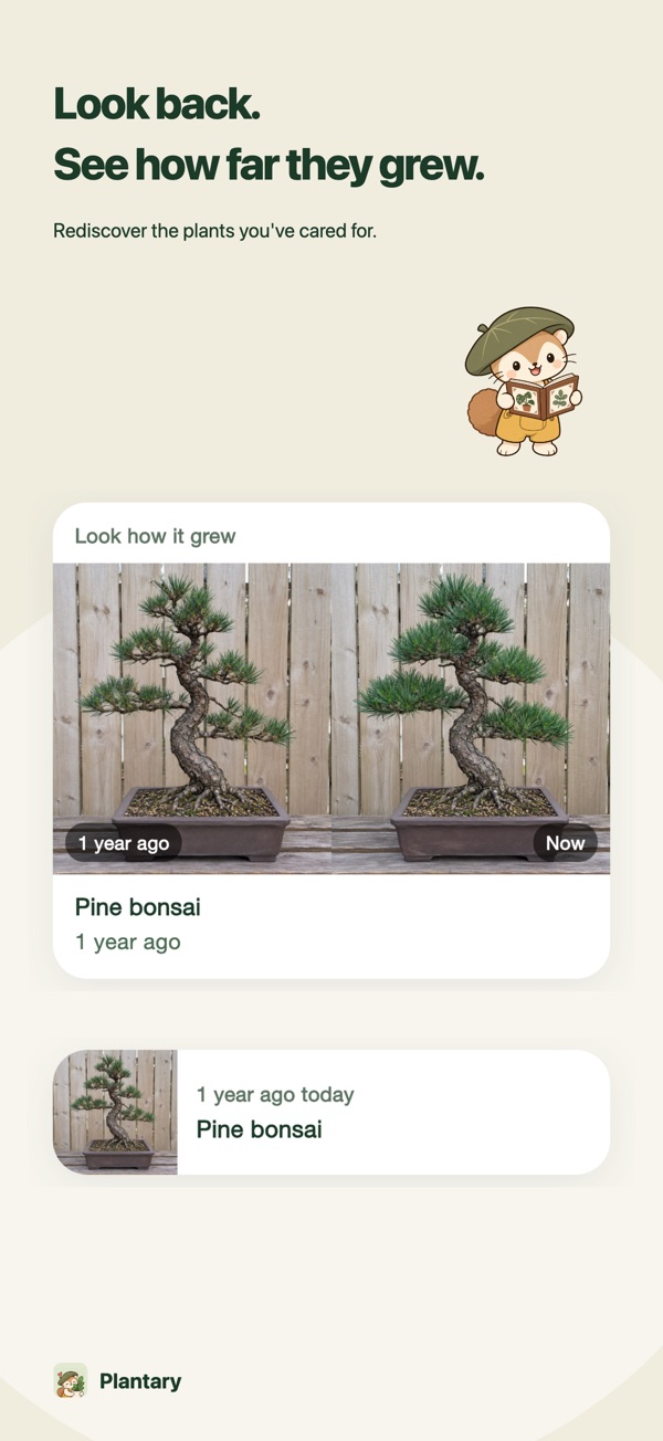 Growth comparison card