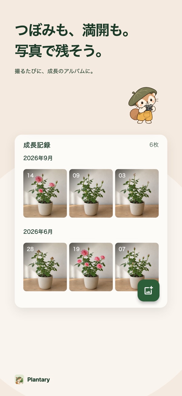 成長記録タイムライン