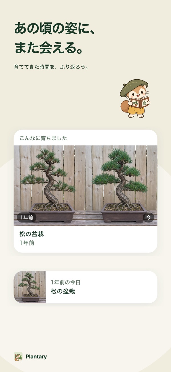 成長比較カード